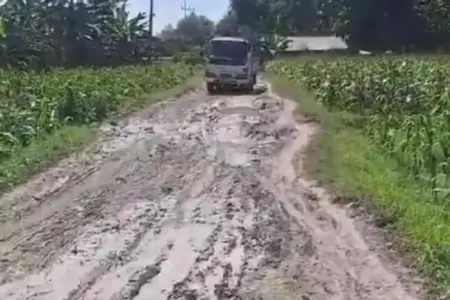 Jalan Poros Desa Napis Bojonegoro Akan Diperbaiki Lewat Dana CSR Perusahaan Foto BeritaJatim.com