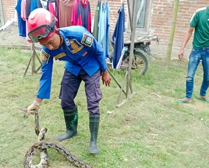Foto BeritaJatim.com