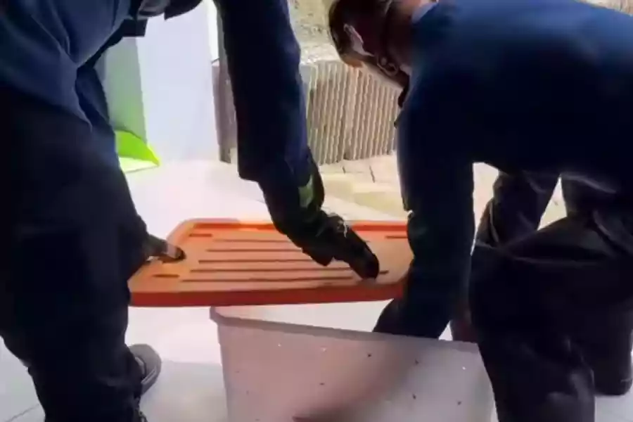 Foto BeritaJatim.com