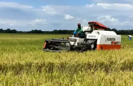 Petani di Bojonegoro Perlu Daftar AUTP, Lindungi Usaha Tani dari Risiko Gagal Panen Foto BeritaJatim.com