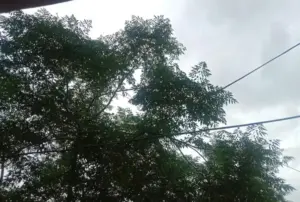 Prakiraan Cuaca Malang Raya Hari Ini: Waspada Hujan Petir Siang hingga Sore Foto BeritaJatim.com