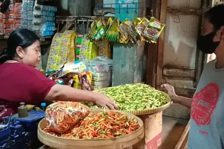 Jelang Nataru, Harga Cabai di Bojonegoro Tembus Rp100 Ribu/Kg Foto BeritaJatim.com