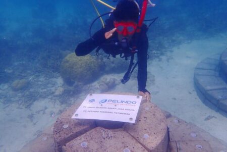 Pelindo Petikemas Terapkan Teknologi Terumbu Buatan APR Dorong Wisata Berkelanjutan Karimunjawa Foto BeritaJatim.com