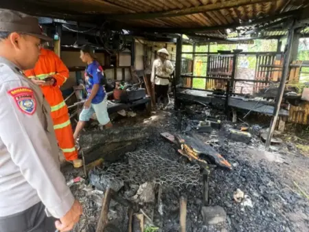 Kandang Terbakar di Pacitan, Tiga Kambing Mati Terpanggang Saat Pemilik Tak Berdaya Foto BeritaJatim.com