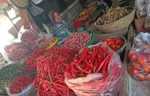 Masa Panen, Harga Cabai di Sumenep Merosot Foto BeritaJatim.com