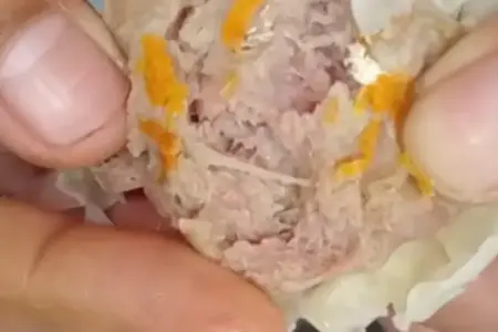 Heboh, Dimsum Program MBG Bojonegoro Diduga Tercemar Belatung Foto BeritaJatim.com
