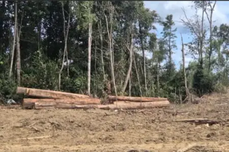 Banjir Sumut Telan Ratusan Korban, KSPPM: Jejak Konsesi TPL Ada di 6 Titik Terparah Foto BeritaJatim.com