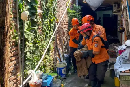 Dominasi Evakuasi Hewan, DPKP Surabaya Tangani 2.306 Insiden Darurat Sepanjang 2025 Foto BeritaJatim.com